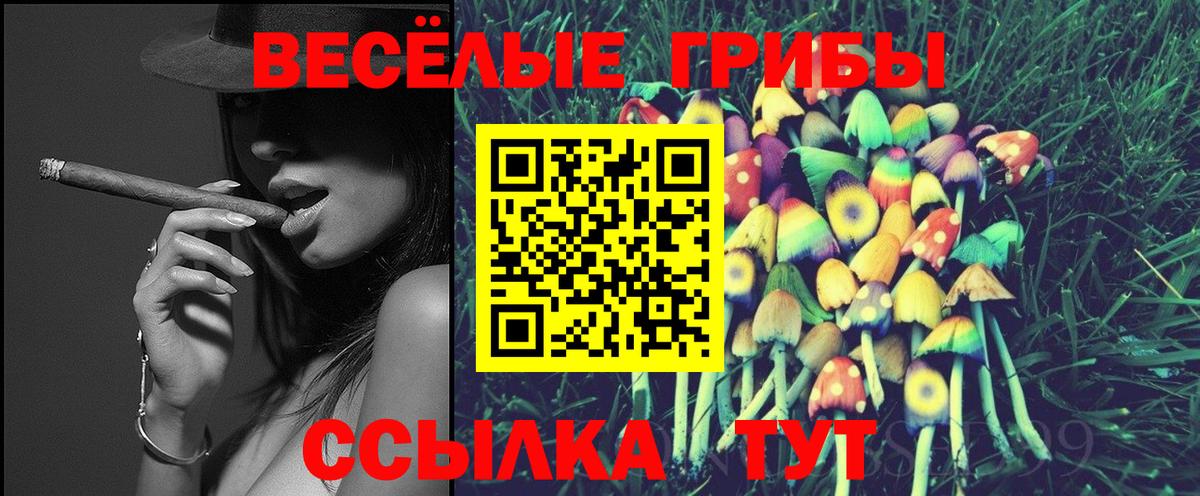 Галлюциногенные грибы Cubensis  Вход с VPN  Псилоцибиновые грибы Psilocybine cubensis  Тимашёвск 